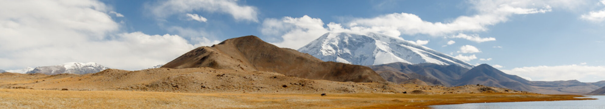Panorma with Mustagh Ata Mountain in the background (Xinjiang, China)