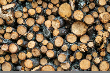 in the courtyard is a stack of firewood of different shapes