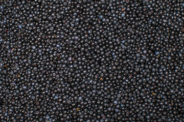 healthy background. blueberries with leaves isolated on white background. macro