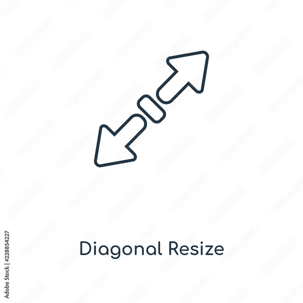 Poster diagonal resize icon vector