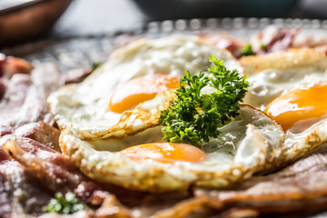 Close-up roasted bacon and egg with herbs.