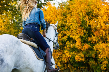 Woman riding a horse in park