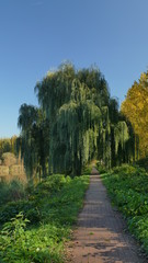 Jesień nad stawem "Maroko" w okolicach Katowic. Śląsk. Polska. Europa © Marian