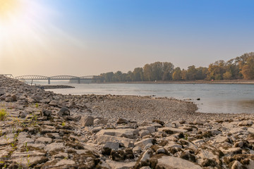 Rhein im Gegenlicht in Iffezheim bei Niedrigwasser
