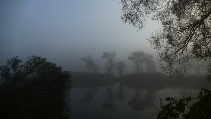 Mgła. Drzewa we mgle rosną na wyspie. Jesień, wczesny ranek. Okolice stawu w Katowicach, na...