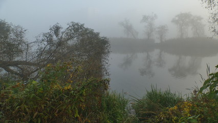 Mgła. Drzewa we mgle rosną na wyspie. Jesień, wczesny ranek. Okolice stawu w Katowicach, na...