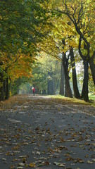 Jogging jesienią. Biegnąca w dali kobieta. Biegnie aleja parkową w "Pszczelniku". Polska, Europa