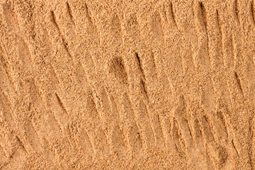 Cinnamon powder brown - Finely ground. Cinnamomum verum