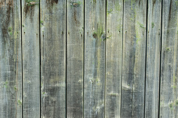 Vertical pine wood fence close up shot on natural light, image for background.