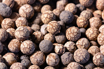 Detail of Argex or LECA, fired expended clay pebbles - used for soil mixes, insulation fill and drainage.