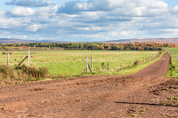 Field in Fall