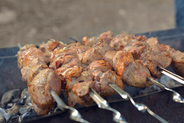 Pork kebab on a skewer