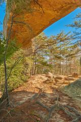 Sky Bridge Arch, Red River Gorge KY