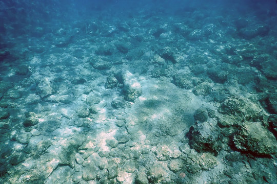 Fototapeta Sea Life Underwater rocks Sunlight, Underwater Life.