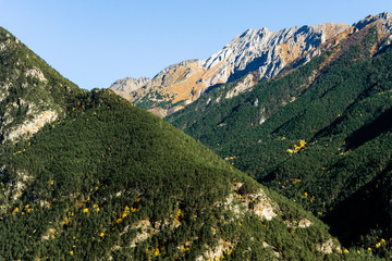 Mountain autumn landscape with colorful forest