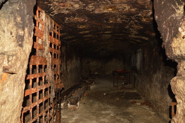 Fototapeta na wymiar Abandoned cellar with rusty lattice door underground