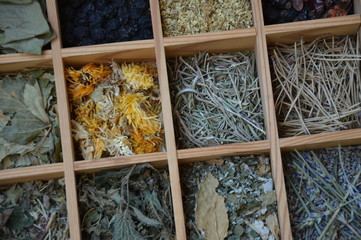 Different tea leaves in little boxes from above