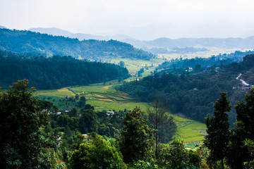 Fototapeta na wymiar Nepal rice paddy field and village hill