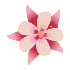 flower leaves nature on white background