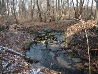 Winter in Mecklenburg - Vorpommern | Wald | Deutschland