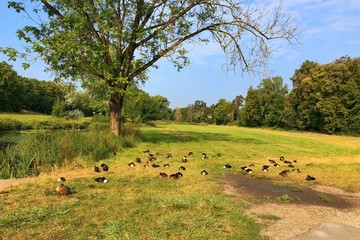 Memories of a beautiful summer.