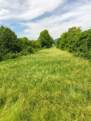 Memories of a beautiful summer.