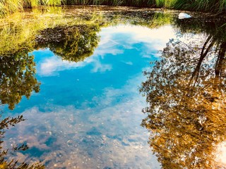 Memories of a beautiful summer.