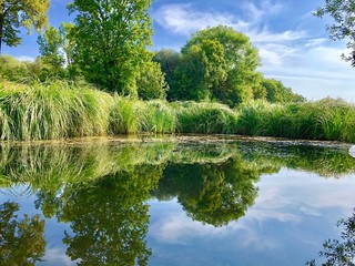 Memories of a beautiful summer.