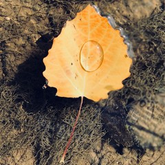 Memories of a beautiful summer.