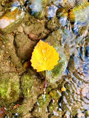 Memories of a beautiful summer.