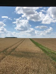 Memories of a beautiful summer.