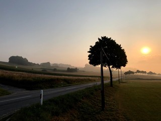 Memories of a beautiful summer.