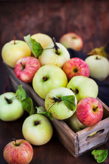 Naklejka na ściany i meble Fresh ripe colorful apples in wooden box on rustic background