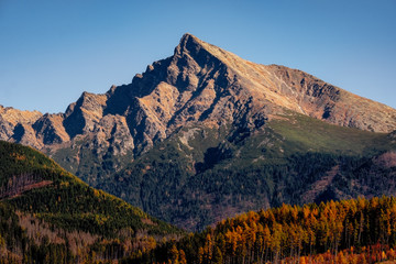 Fototapeta premium Mountain peak Krivan in High Tatras, with beautiful autumn color, Slovakia