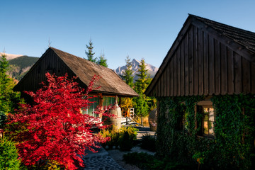 Fototapeta na wymiar Traditional mountain cottages and Krivan mountain peak, Vysoke Tatry, Slovakia