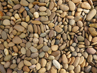 rock stone texture background,aroma stone in garden