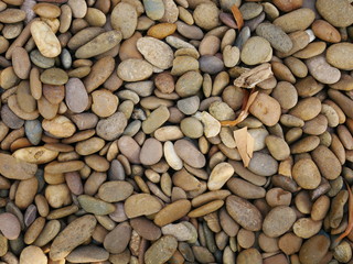 rock stone texture background,aroma stone in garden