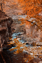 Historic arch stone bridge in a mountain river valley with autumn colorful trees in october. Bode Gorge (Bodetal), National Park Harz Mountains, Thale,  Saxony-Anhalt in Germany
