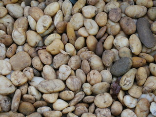 Obraz premium rock stone in the garden,aroma stone