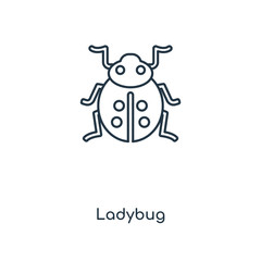 ladybug icon vector