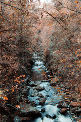 Beautiful and colorful mountain river valley with orange autumn color tones. Bode Gorge (Bodetal), National Park Harz Mountains, Thale,  Saxony-Anhalt in Germany