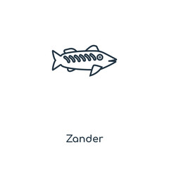 zander icon vector