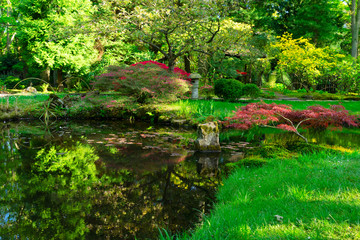 flowing spring water and green grass in japanese garden in The Hague, Netherlands