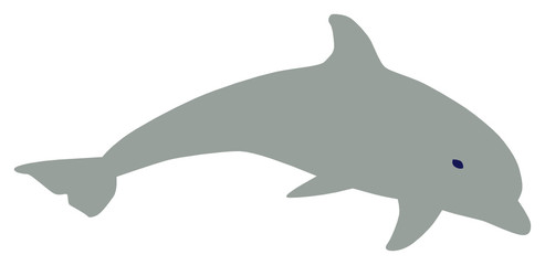 Delfin © thingamajiggs