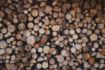 Firewood pile