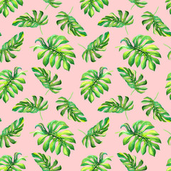 Watercolor colorful floral pattern with green monstera leaves on pink background. Seamless pattern with flowers for decoration, natural summer fabric print, wrapping paper, wallpaper