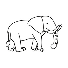 elephant animal on white background