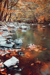 Blurry long exposure water of a beautiful mountain river with colorful autumn leaves on wet rocks in october. Bode Gorge (Bodetal), National Park Harz Mountains, Thale,  Saxony-Anhalt in Germany