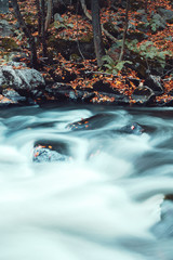 Blurry motion of a blue mountain river with autumn color tones leaves. Bode Gorge (Bodetal), National Park Harz Mountains, Thale,  Saxony-Anhalt in Germany