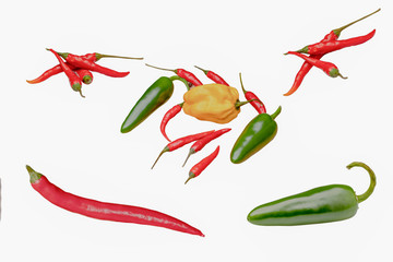 Bunte Chilischoten auf einem weißen Hintergrund